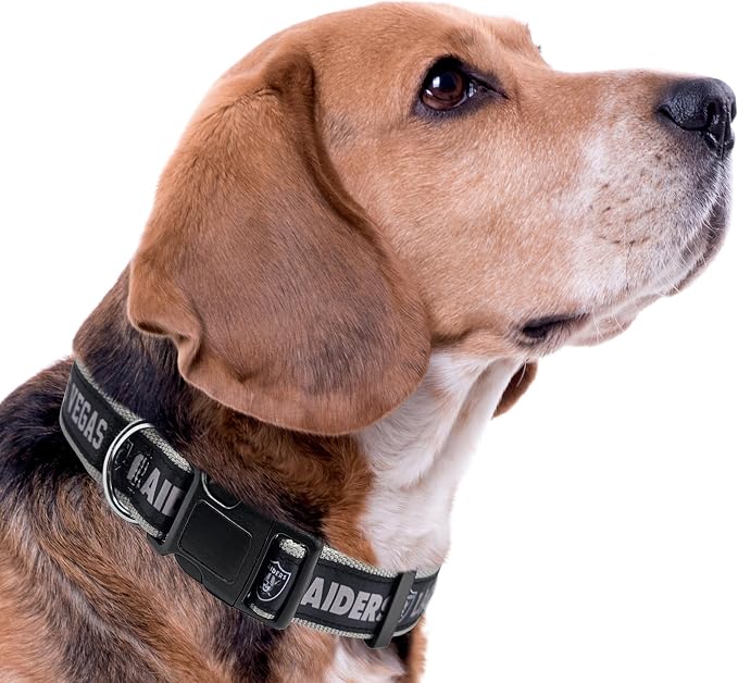 Pets First NFL Raiders Licensed PET COLLAR, Large - Image 4