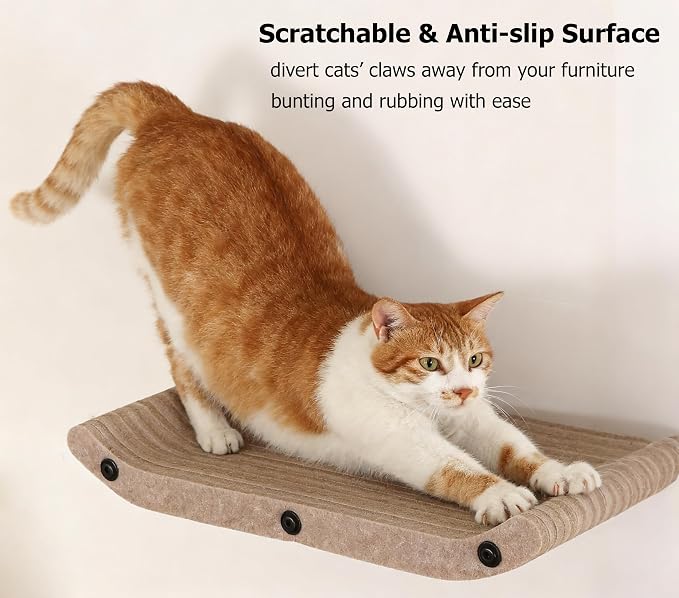 Wall Mounted Cat Shelves and Perches, Scratcher Cat Beds & Furniture - Image 2