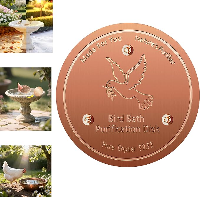 Copper Disk for birdbath, Dogs & Cats Water Feeder, 99.9% Pure Copper Disk by Unknown