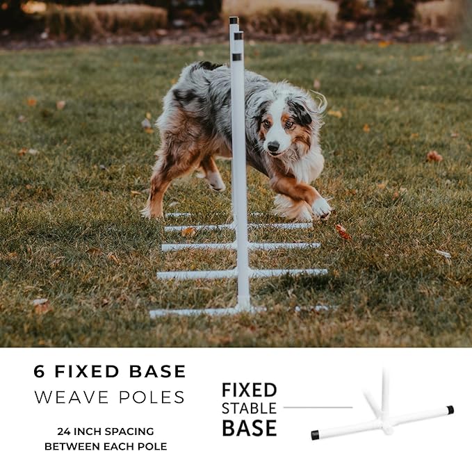 Better Sporting Dogs Agility Course Backyard Set - Image 6