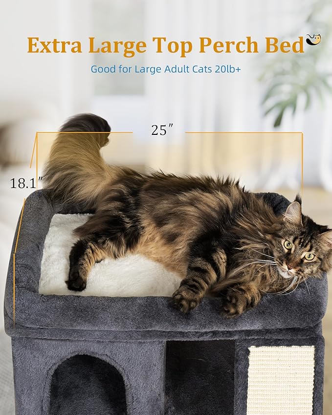XL Cat Tree Tower for Large Adult Cats 20 lbs+, 25in Perch Bed, Condo Cave for - Image 2