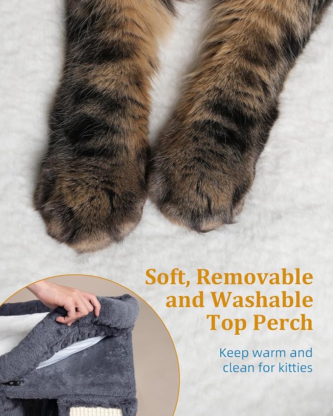 XL Cat Tree Tower for Large Adult Cats 20 lbs+, 25in Perch Bed, Condo Cave for - Image 4
