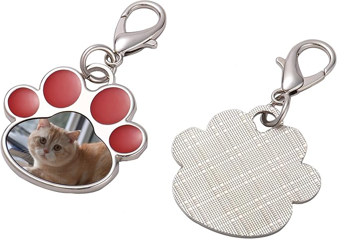 Custom Pet Photo Keychain Personalized Photo Pawprint Dog Tag Keychain Engraved - Image 2