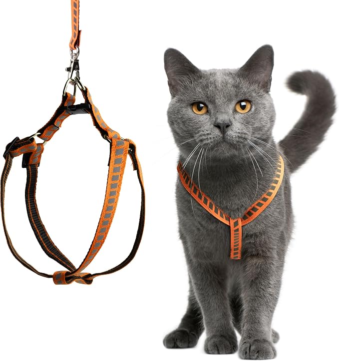 Filbert Cat Harness and Leash Set by Filbert