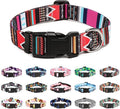 Mercano Adjustable Dog Collar by Unknown