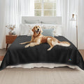 Luciphia Waterproof Pet Blanket, Liquid Pee Proof Dog Blanket by luciphia