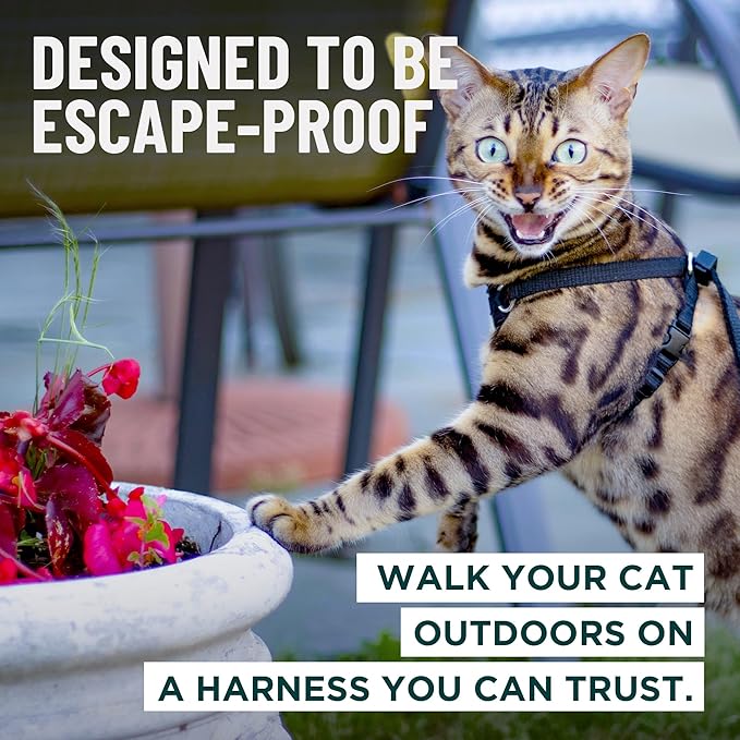 Houdini™ Escape Proof Kitten Harness and Leash Set by OutdoorBengal – Black - Image 2