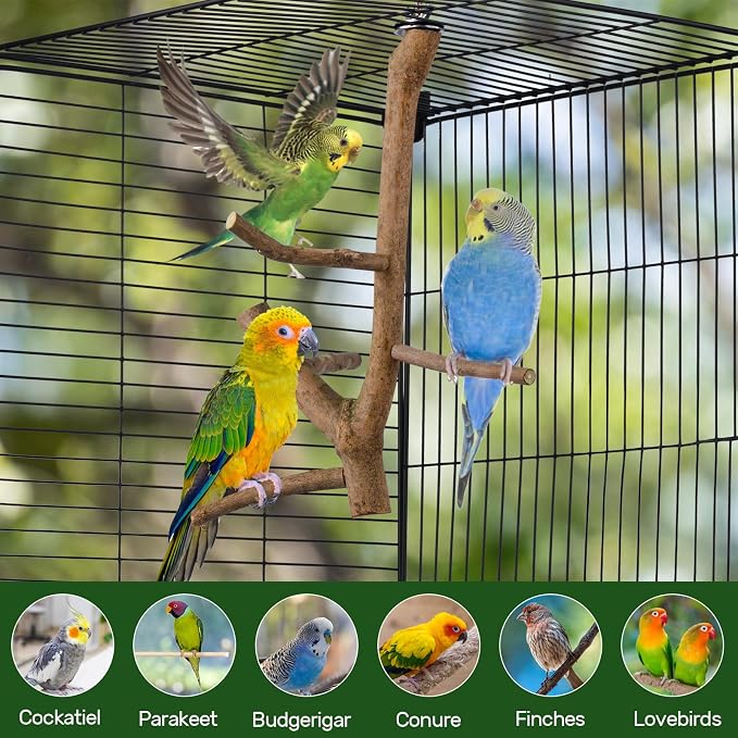 Bird Perch Stand, Natural Vitex Negundo Wood Parrot Perch Bird Cage Branch Perch - Image 2
