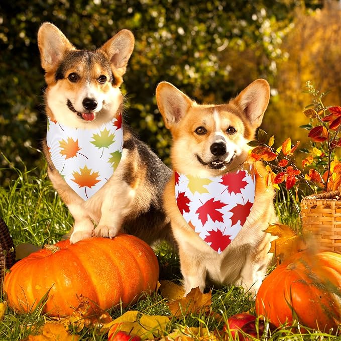 Abbylike 50 Pcs Fall Thanksgiving Dog Maple Leaves Bandanas Bulk Bandanas - Image 2