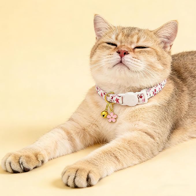 2 Pack Cotton Breakaway Cat Collars Set - Image 5