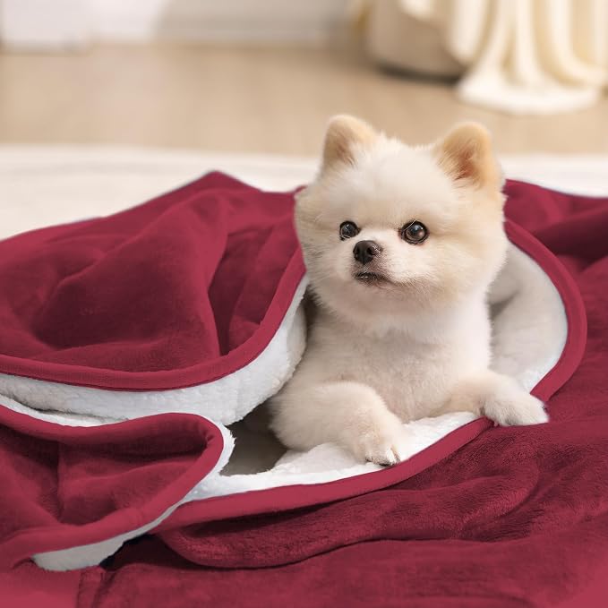 gogobunny Waterproof Pet Blanket - Image 5