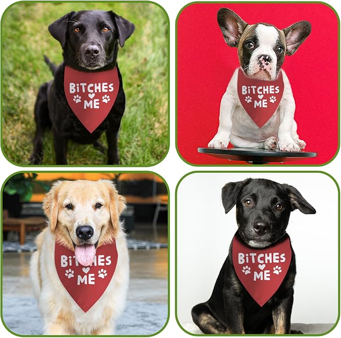 Funny Dog Birthday Bandana Boy Girl Pets Birthday Gift - Image 4