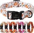 Fall Dog Collar, Cute Orange Pumpkin Pattern Puppy Collar, Soft Comfort by Babolepet