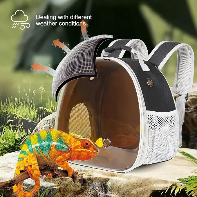 Bearded Dragon Travel Backpack - Image 8