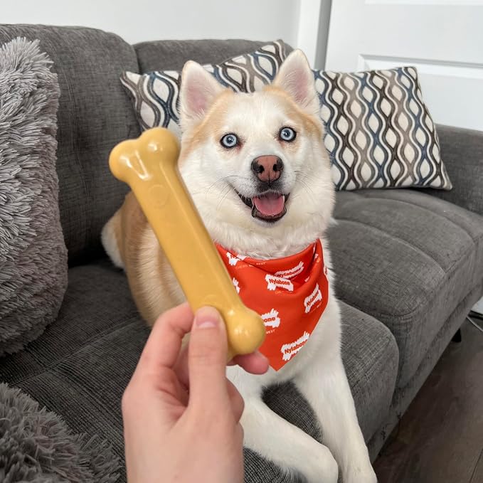 Nylabone Power Chew Classic Bone Chew Toy - Image 2