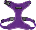 Voyager Step-in Pet Harness by BestPetSuppliesLLC