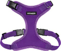 Voyager Step-in Pet Harness by BestPetSuppliesLLC