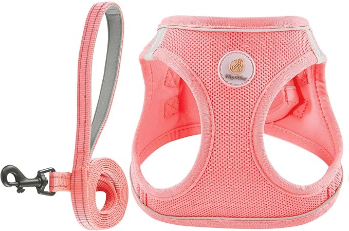 Hipubby Dog Harness and Leash Set, No Pull Soft Mesh Puppy Harness by Hipubby