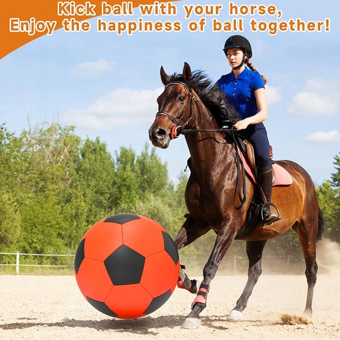 QDAN Herding Ball for Dogs, 25 inch Dog Balls, Giant Dog Toys Horse Toy - Image 3