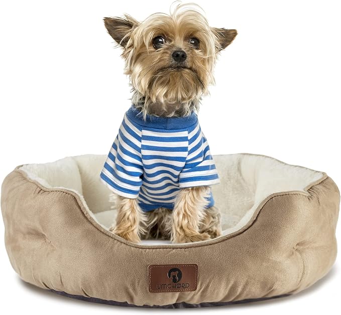Asvin Medium Dog Bed for Medium Dogs, Cat Beds for Indoor Cats, Pet Bed for - Image 2