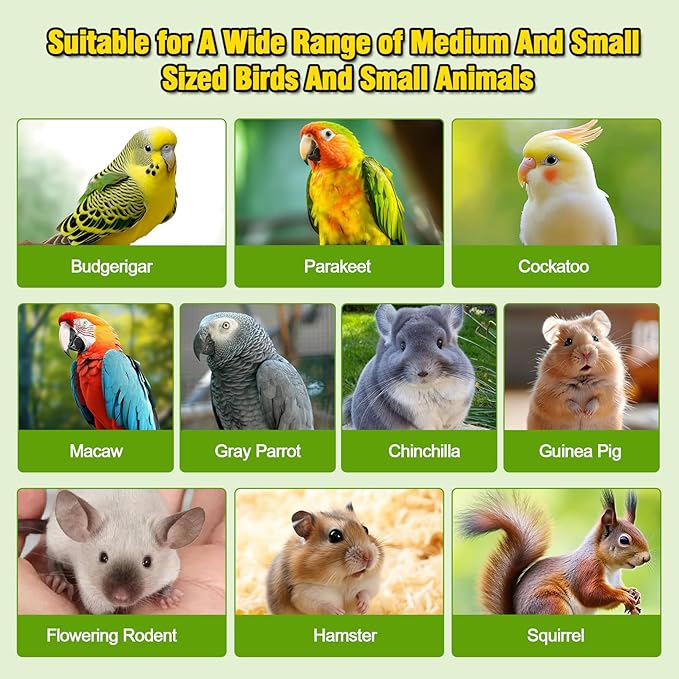 2PCS 13.8x7.9 inches Large Bird Perch Stand Wooden Parakeet Stand Platform - Image 6