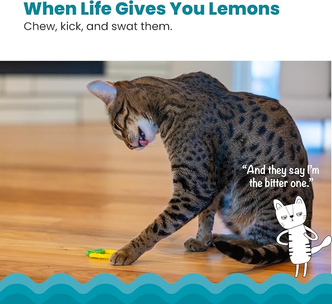 Catstages Dental Lemon Teether, Soft and Textured Cat Chew Toy, Catnip Oil - Image 2