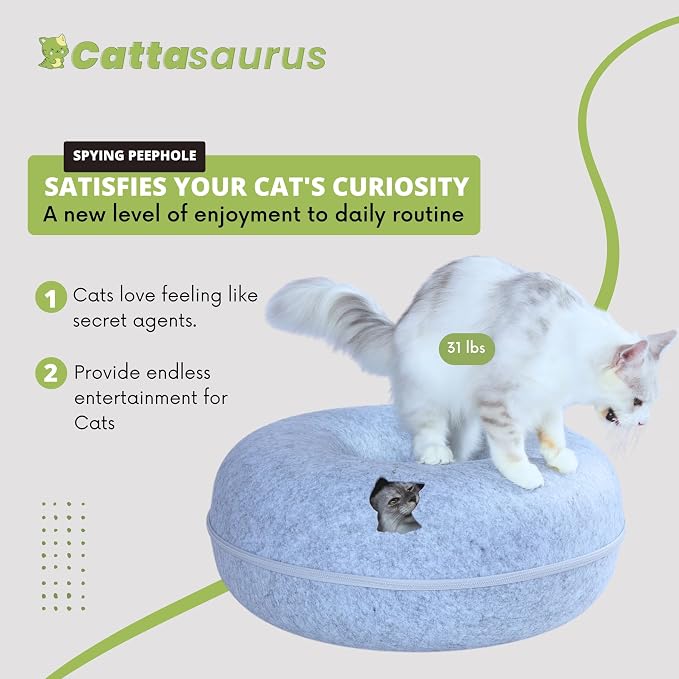 Cattasaurus Peekaboo Cat Cave Donut - Image 4