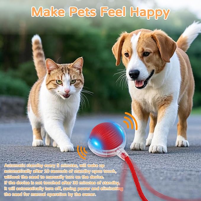 2025 New 3Pack Cat Ball Kitten Toys - Image 6