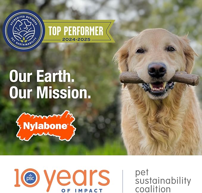 Nylabone Power Chew Classic Bone Chew Toy - Image 10
