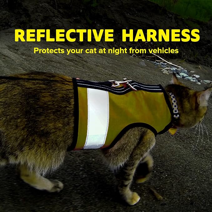 Kitty Holster Reflective Cat Harness – High-Visibility Cat Harness - Image 6