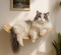 Wood Cat Wall Bed with Sisal Mat – Curved Cats Shelf by PELUOMOZ