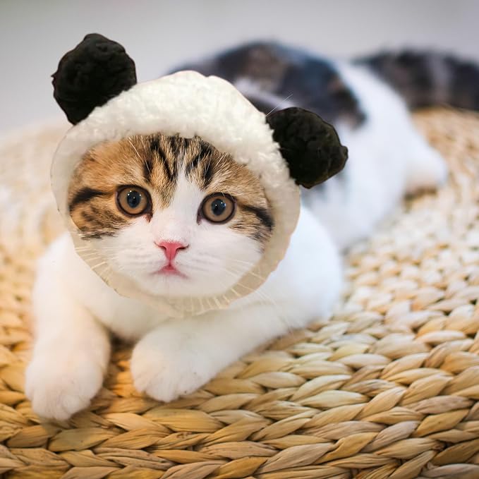 3pcs Hat for Cat Animal Costume Pack, Lion Head for Cats, Cat Panda Costumes - Image 6