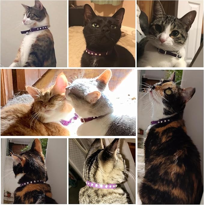 Rhinestone Cat Collar Breakaway - Image 4