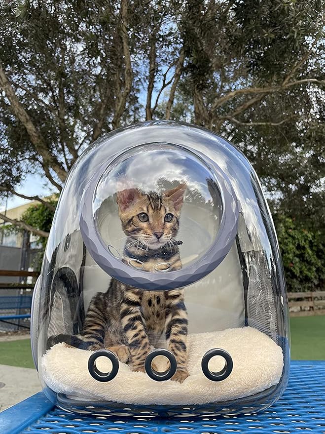 Cat Backpack Carrier, Bubble Backpack - Image 6