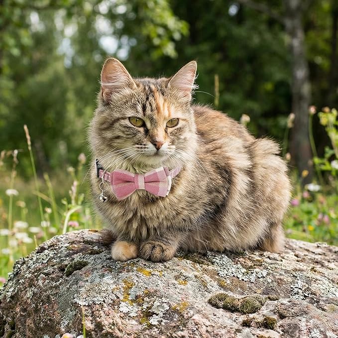 Cat Girl Collar Breakaway Bowtie - Image 7