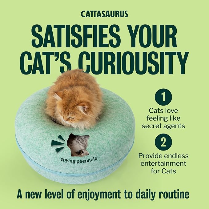 Cattasaurus Peekaboo Cat Cave Donut - Image 5