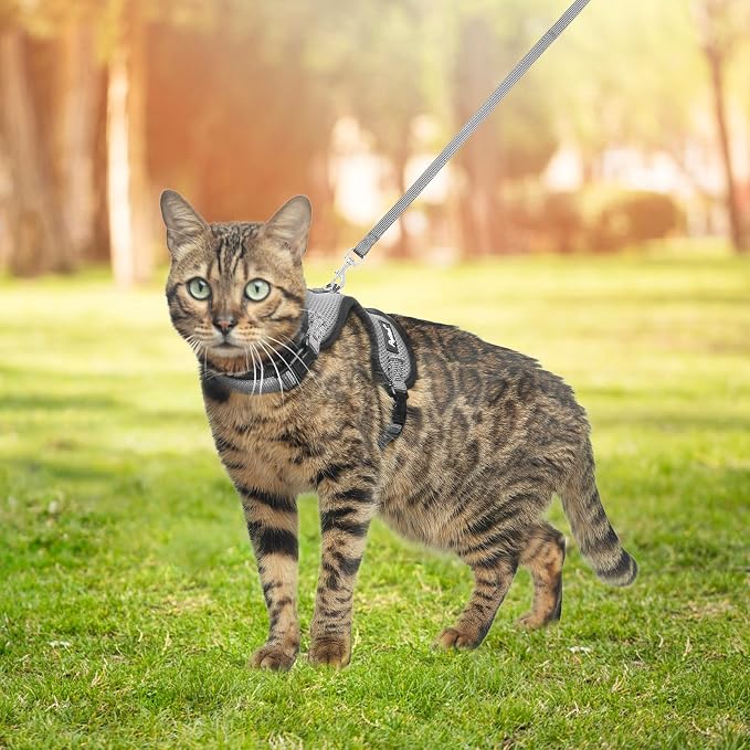 PUPTECK Cat Harness and Leash Set Escape Proof, Reflective Adjustable Soft Mesh - Image 6