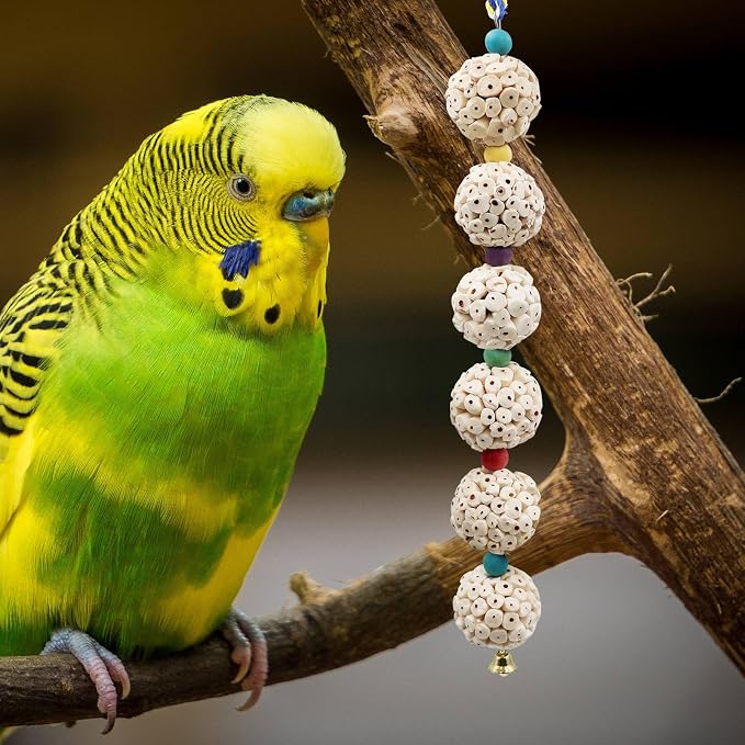 Bird Chewing Toy, Bird Sola Ball Toy - Image 3