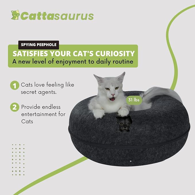 Cattasaurus Peekaboo Cat Cave Donut - Image 4