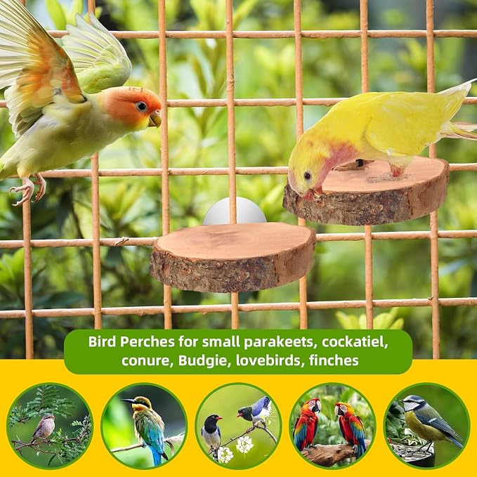 4PCS Natural Wood Round Bird Perch Platform - Image 7