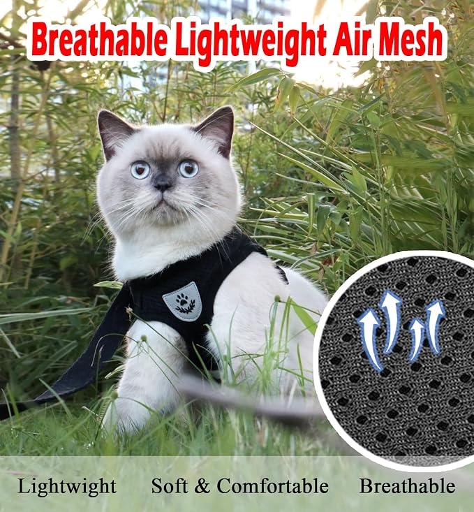 Cat Harnesses and Puppy Harness - Image 2