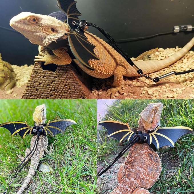 Bearded Dragon Carrier with Harness and Leash Set Large Small Animal Carrier - Image 5