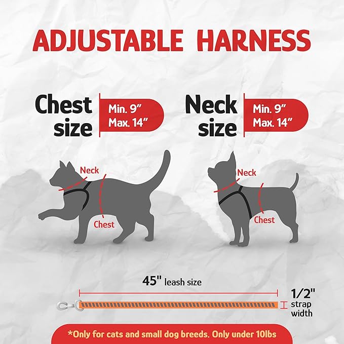 Filbert Cat Harness and Leash Set - Image 3
