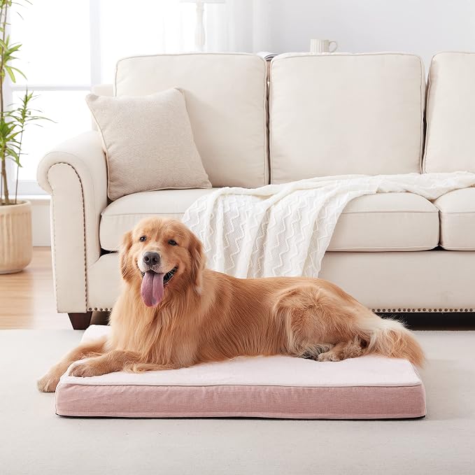 Memory Foam Orthopedic Large Dog Bed, Washable Dog Bed - Image 4