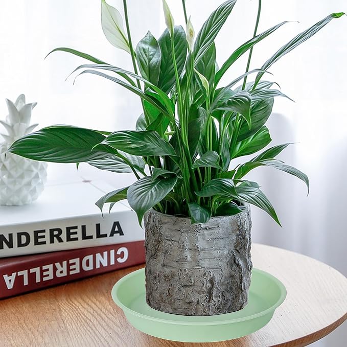 6 Pack of 12 inch Plant Saucer, Heavy Duty Plastic Plant Saucer 12" Round - Image 7