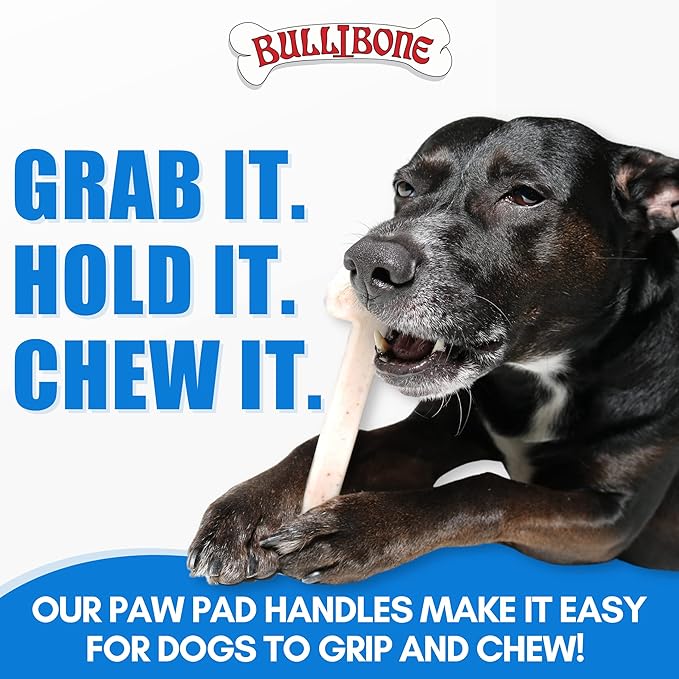 Bullibone Nylon Dog Chew Toy for Aggressive Chewers - Image 5