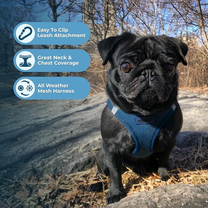 Best Pet Supplies Voyager Step-in Air All Weather Mesh Harness and Reflective - Image 5