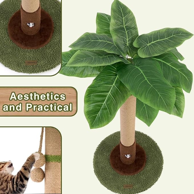 Cat Scratching Post for Indoor Cats and Kitten - Image 4