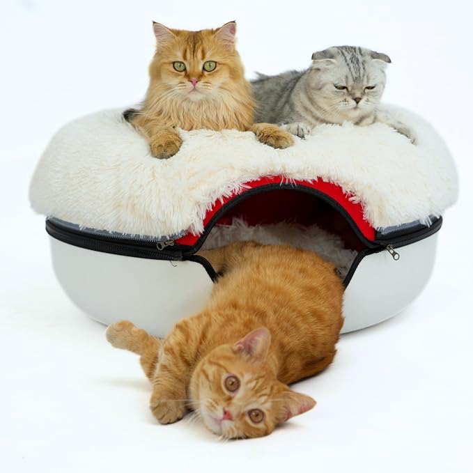 CATTASAURUS Peekaboo Cat Cave for Multiple & Large Cats Up to 30-45 Lbs by Cattasaurus