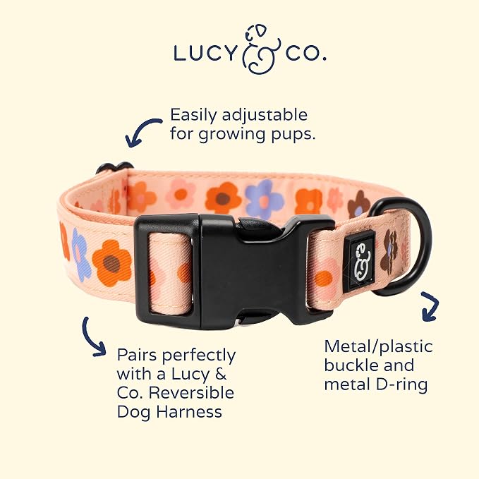 Lucy & Co. Let's Groove Adjustable Dog Collar- Cute Designer Pet Collar - Image 2
